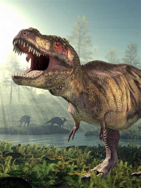 dream dictionary dinosaur|25 Dinosaur Dream Meaning and Symbolism Interpretations.